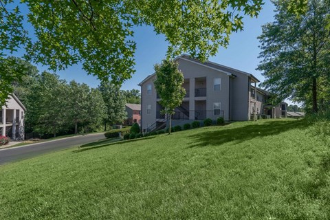 our apartments have a spacious yard with green grass and trees