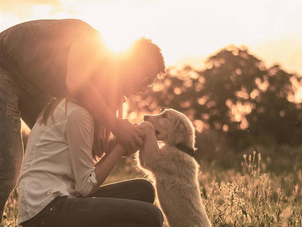 a man and woman playing with a dog