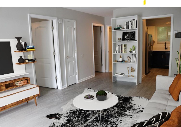 A living room with a white couch and a black and white rug.