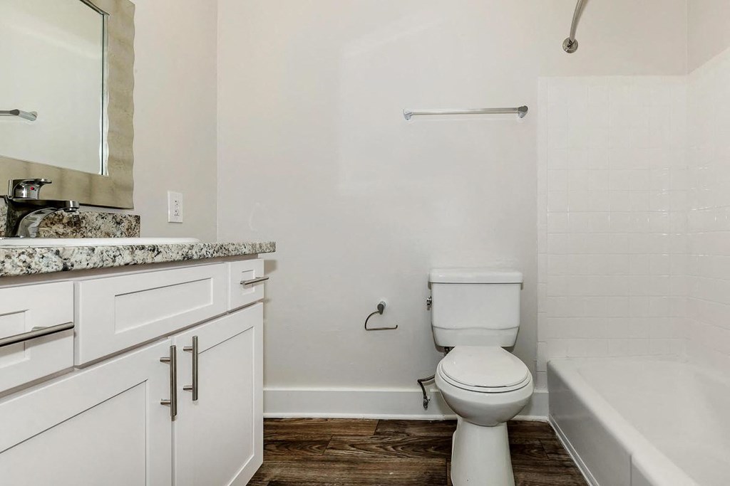 a bathroom with a toilet and a bath tub and a sink