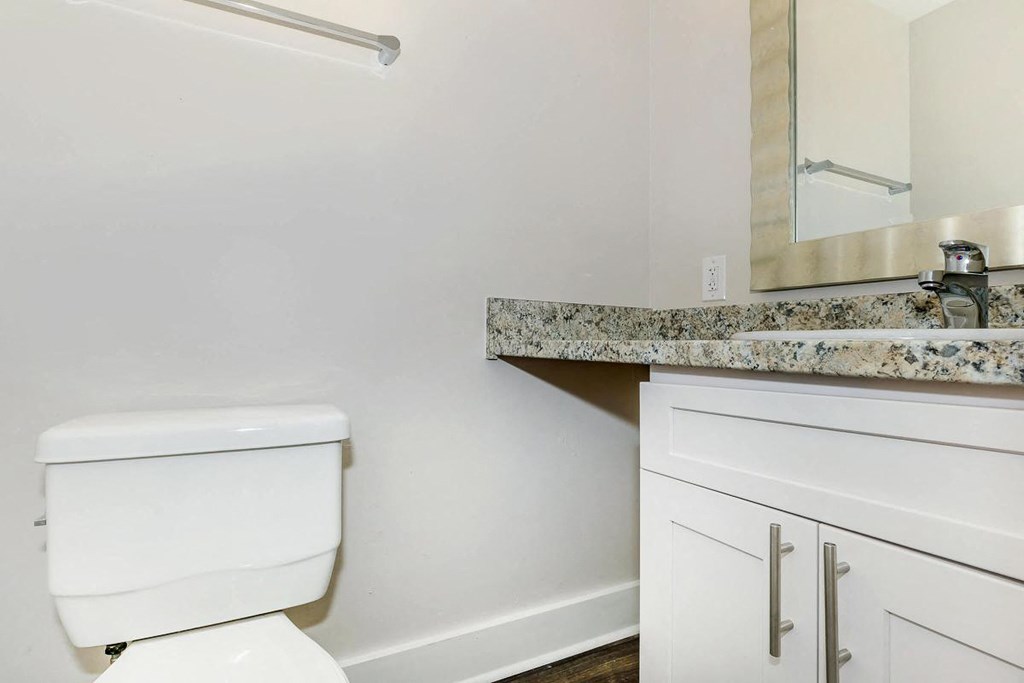 a bathroom with a toilet and a sink and a mirror