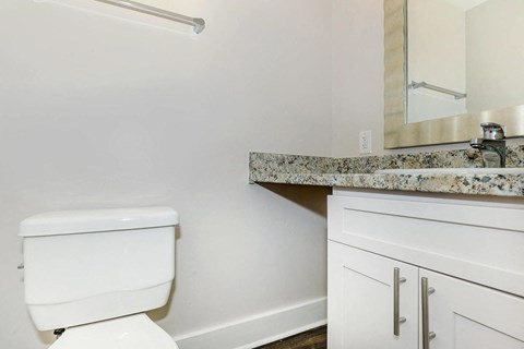 a bathroom with a toilet and a sink and a mirror