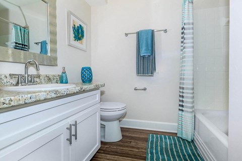 a bathroom with a sink toilet and a shower