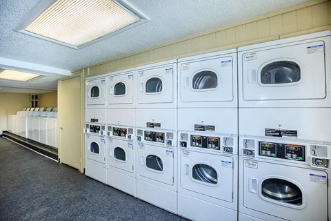 a row of washers and dryers in a laundry room