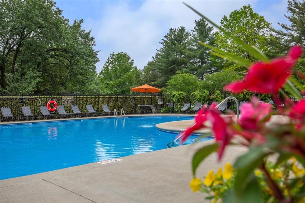 a swimming pool with flowers and chairs around it