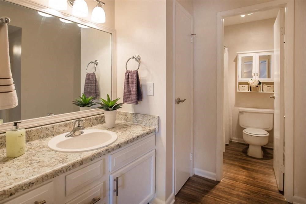 a bathroom with a sink and a toilet