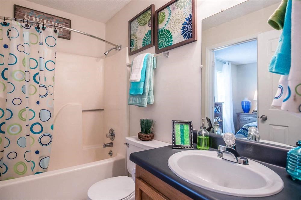 a bathroom with a sink and a toilet and a shower
