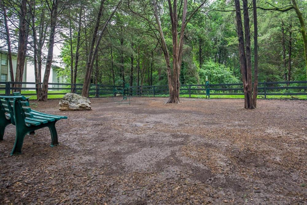 a park with a bench and trees