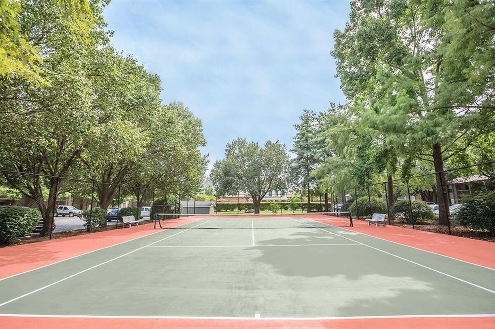 a tennis court with trees on it