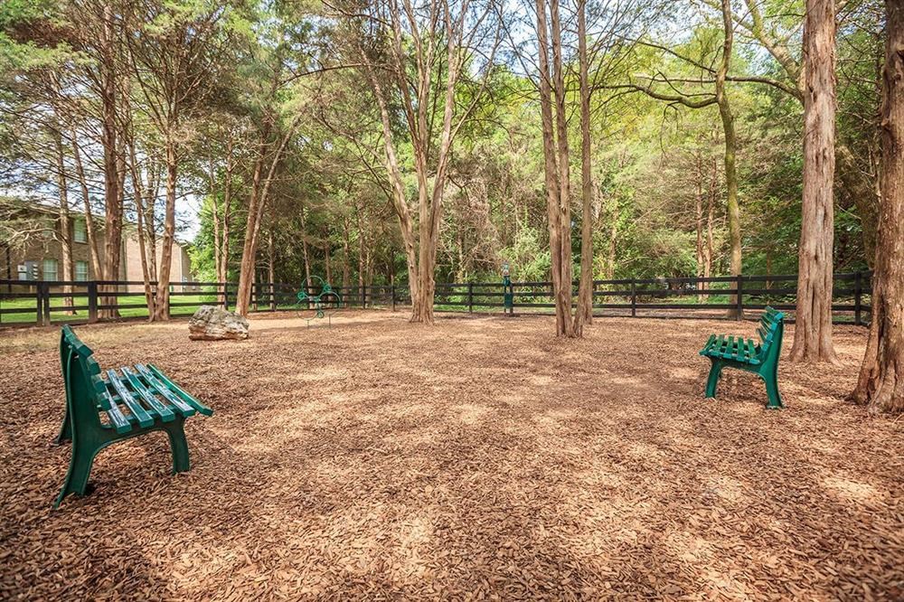 two benches sitting in a park with trees