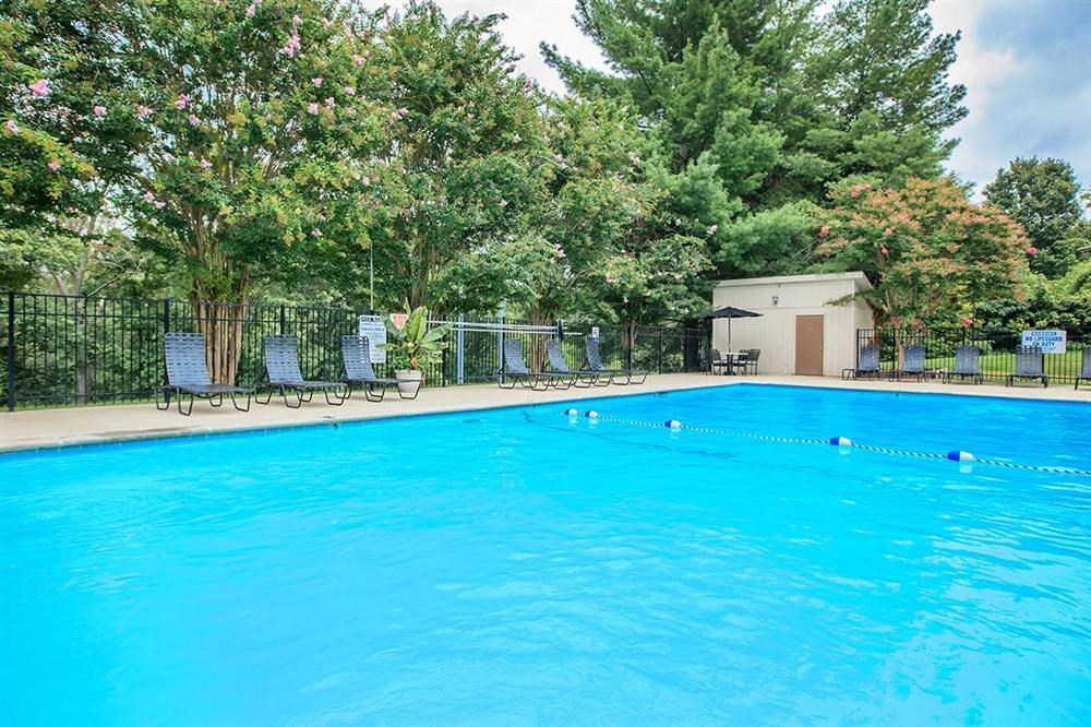 a large blue swimming pool with trees and chairs around it