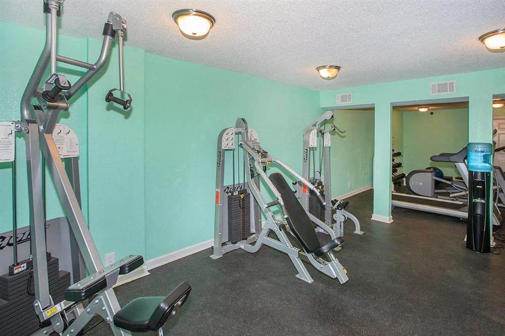 the gym is equipped with cardio equipment and weights