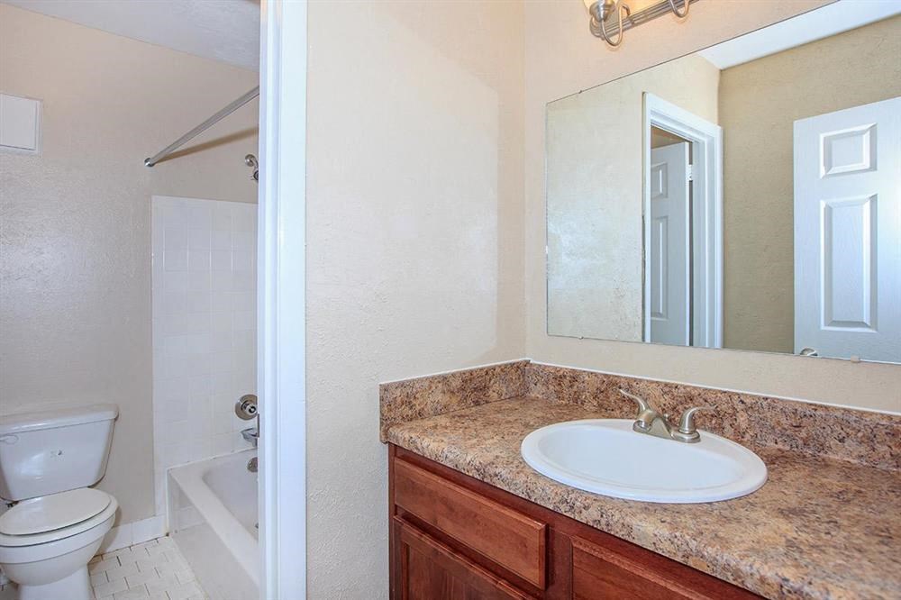 a bathroom with a sink and a toilet and a mirror