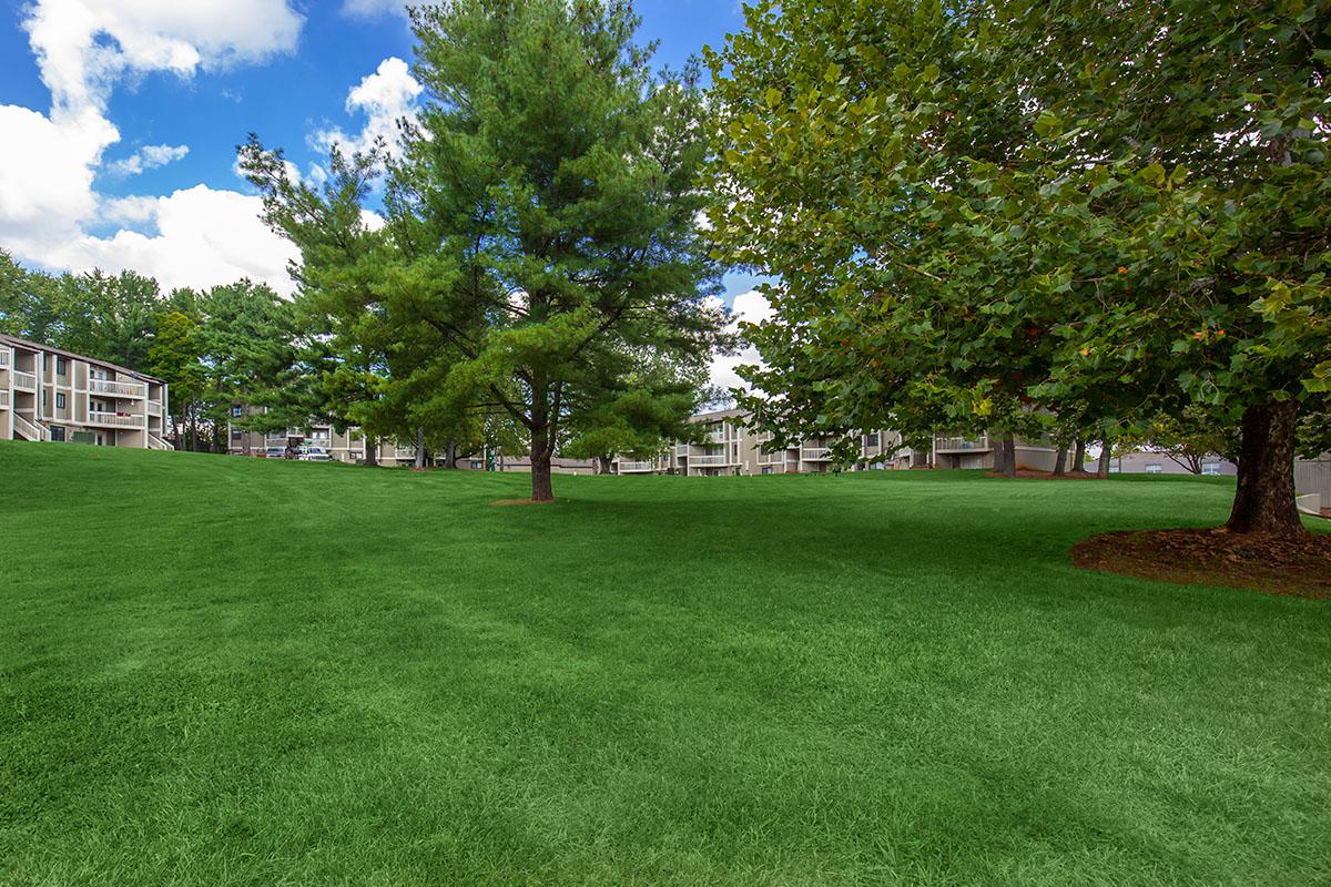 Brendon Park Apartments