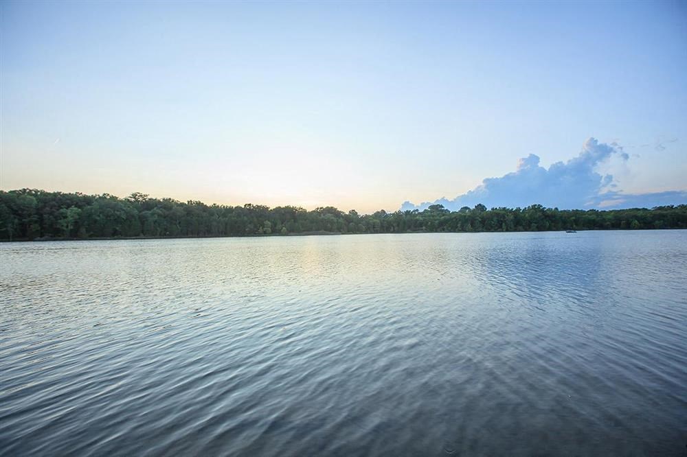 a large body of water with trees in the background