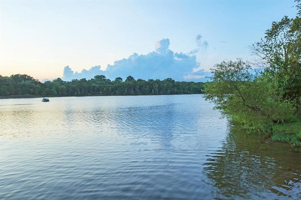 a body of water with trees and a boat on it