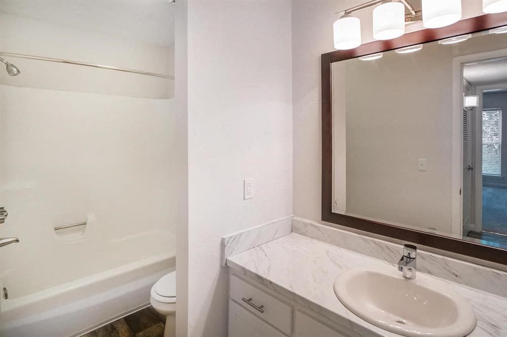 a bathroom with a sink and a mirror and a toilet