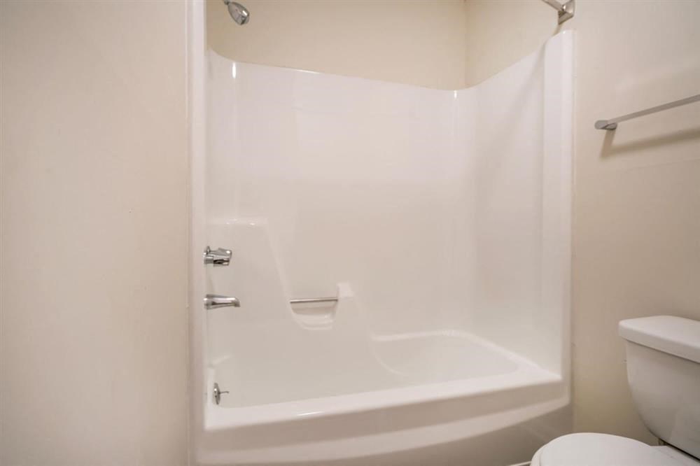 a white bathroom with a shower and a toilet