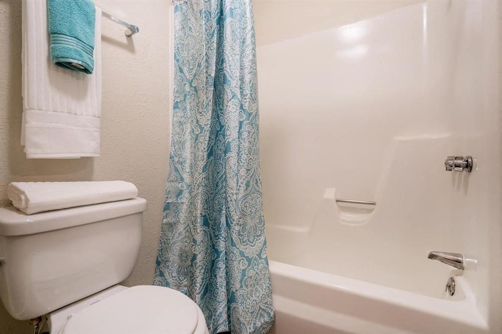 a bathroom with a blue shower curtain and a toilet