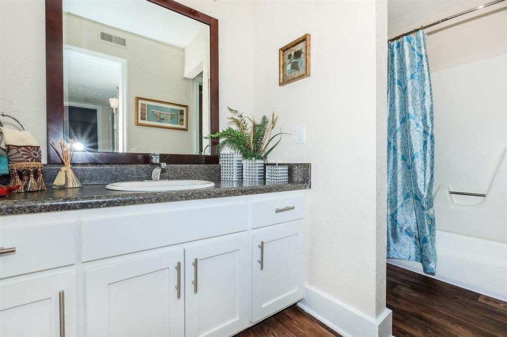 a bathroom with a sink and a mirror