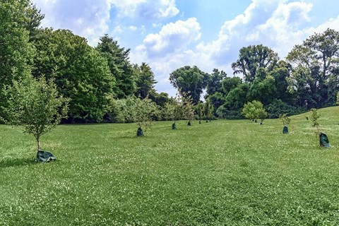 Chelsea Place Apartments