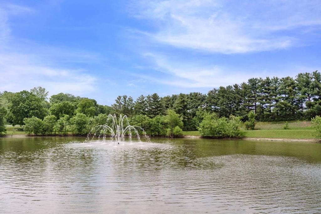 a fountain in the middle of a lake