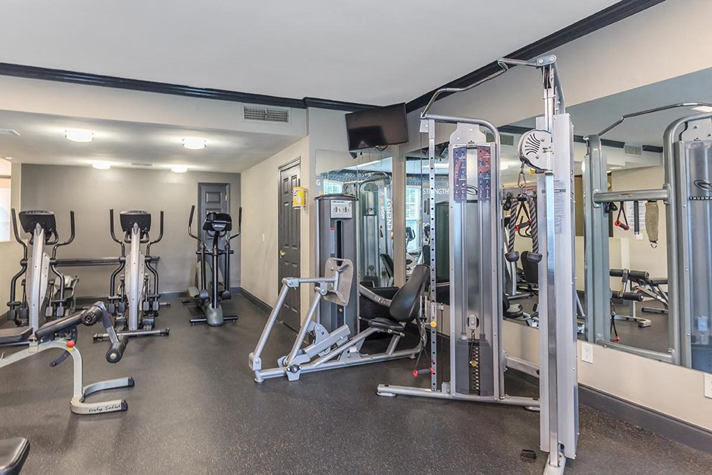 a gym with weights and cardio equipment in a building