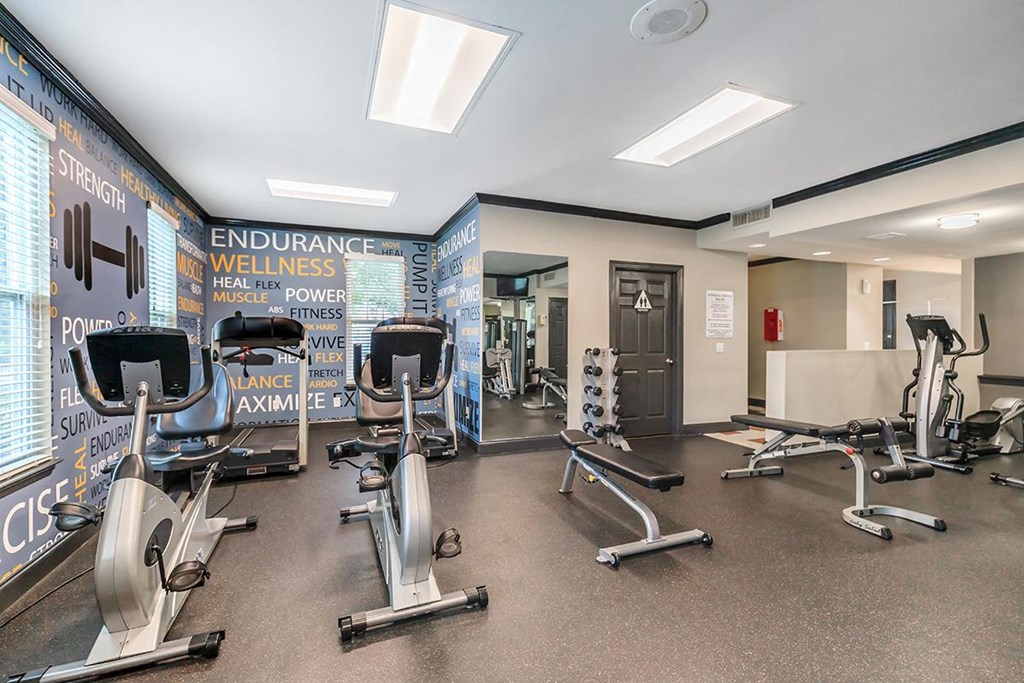 a gym with weights and cardio equipment on the floor and a wall mural
