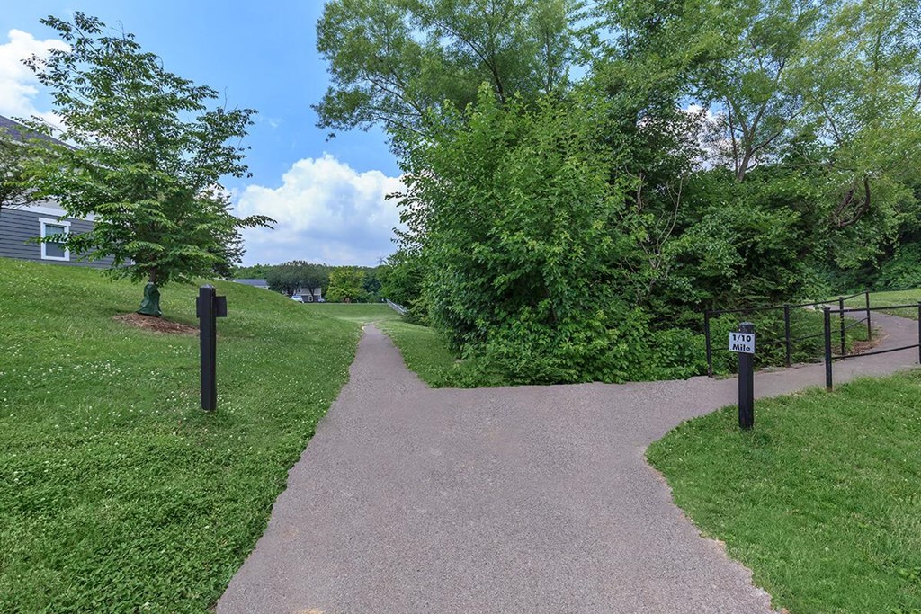 a paved path through a park with trees and a house