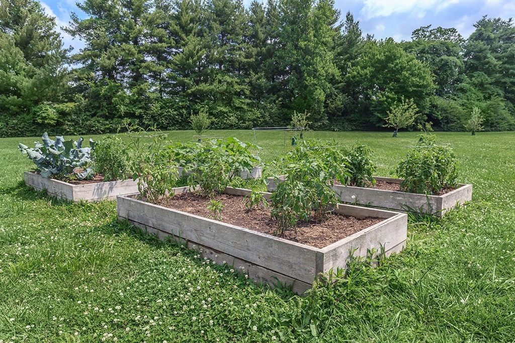 a group of raised beds in a field