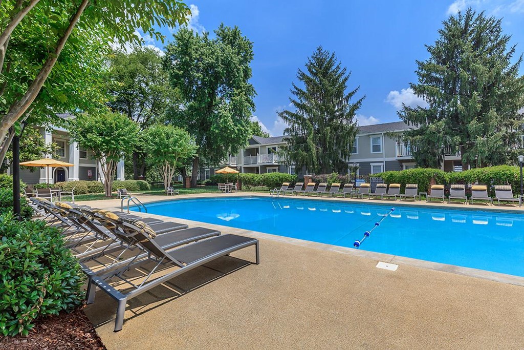 a swimming pool with chaise lounge chairs and trees
