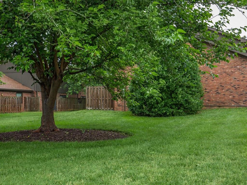 a yard with a tree and a brick house