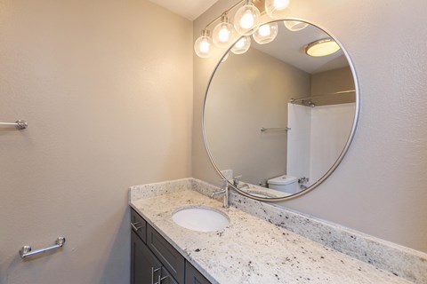 a bathroom with a sink and a large mirror