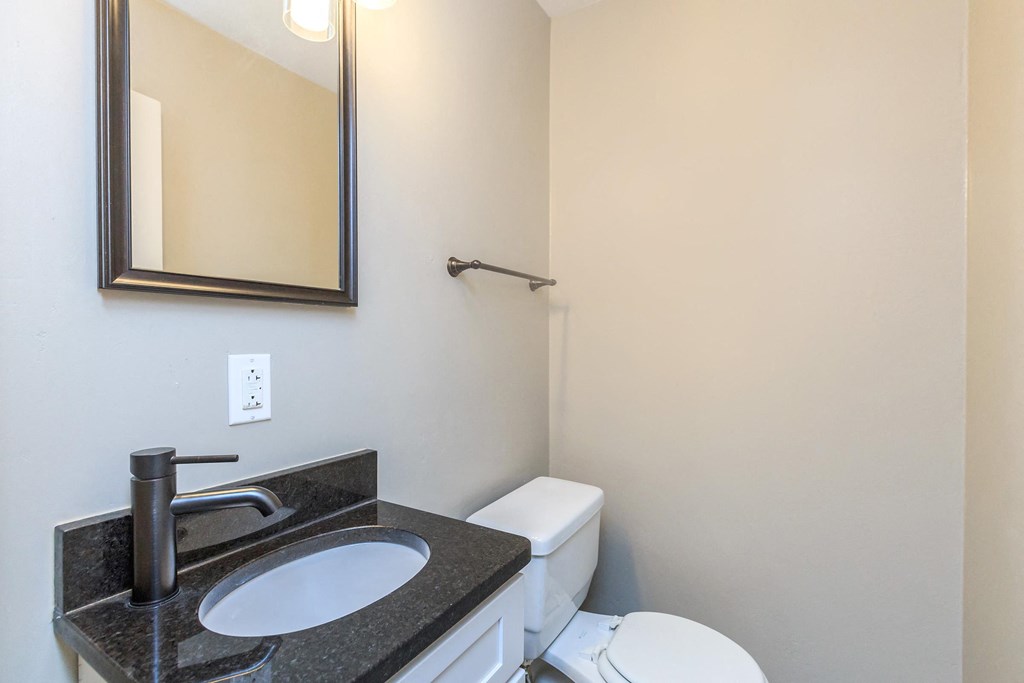 a bathroom with a sink and a toilet and a mirror
