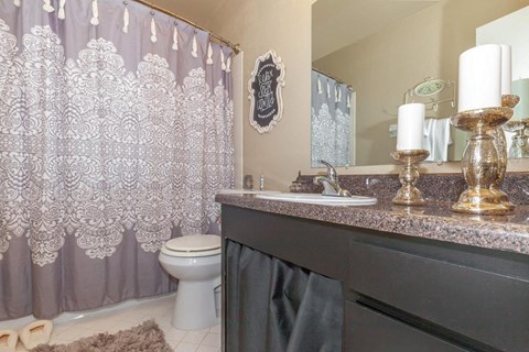 a bathroom with a shower and a toilet and a sink