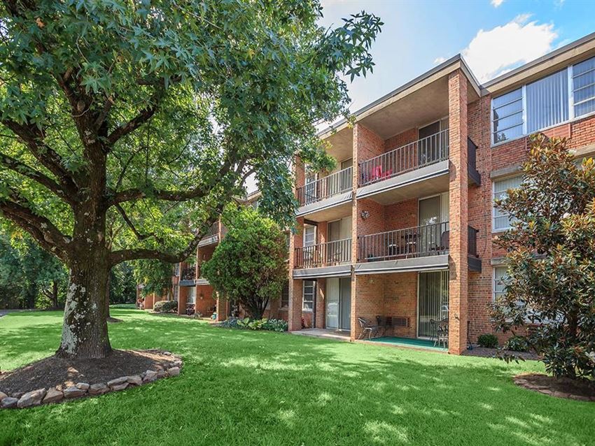 our apartments offer a green lawn and trees for residents to enjoy