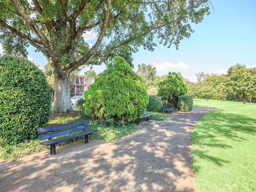 a bench in a park next to a tree