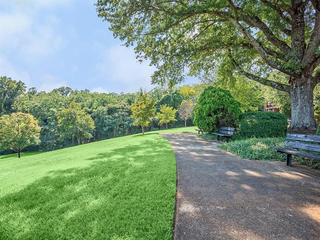 a park with benches next to a tree