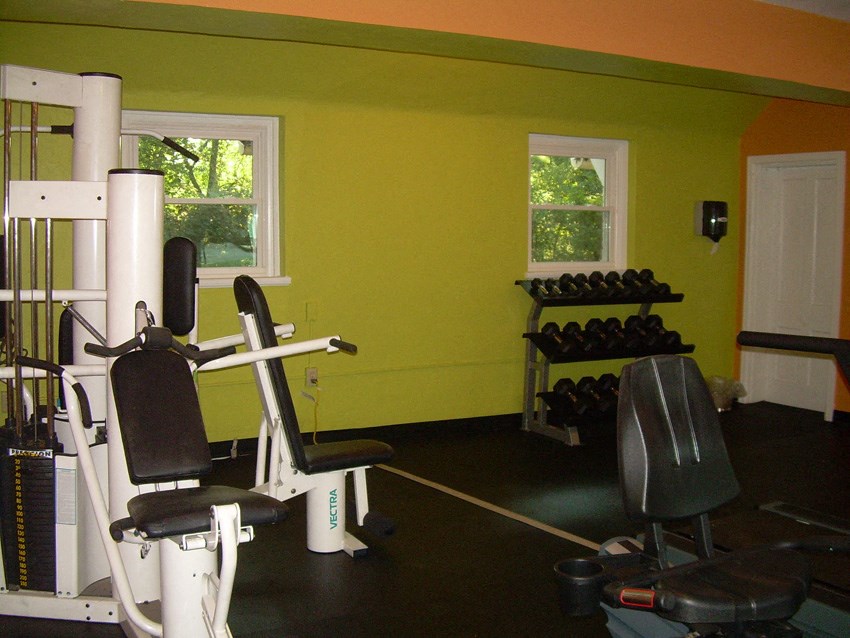 a home gym with weights and cardio equipment