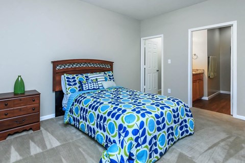 a bedroom with a bed and a closet