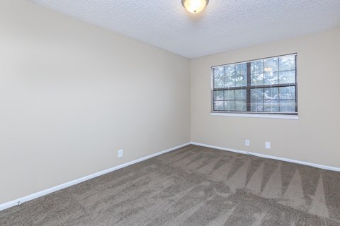 an empty living room with carpet and a window