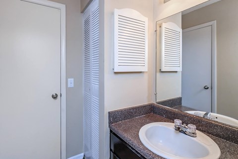 a bathroom with a sink and a mirror