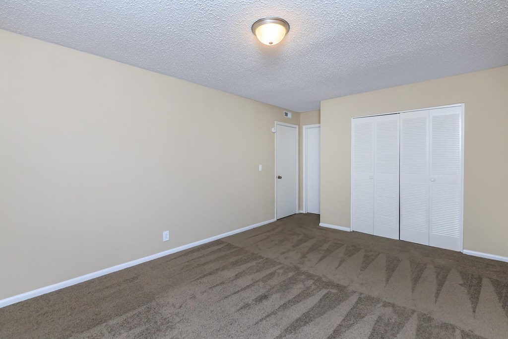 a living room with carpet and a door to a closet