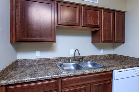 a kitchen with a sink and wooden cabinets