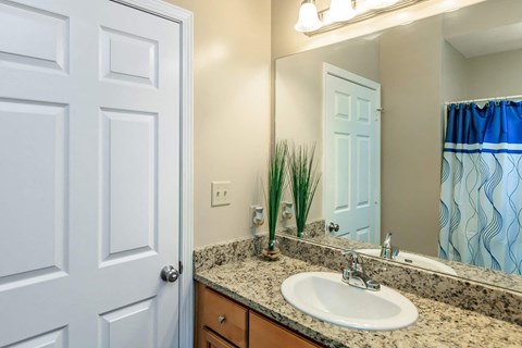 a bathroom with a sink and a mirror