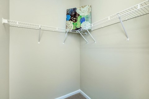 a closet with white rods and a painting on the wall