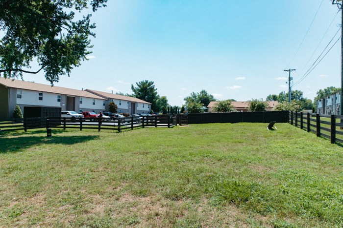 a yard with a fence and houses in the background