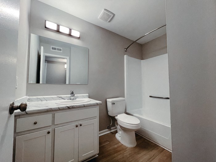 a bathroom with a sink toilet and a mirror