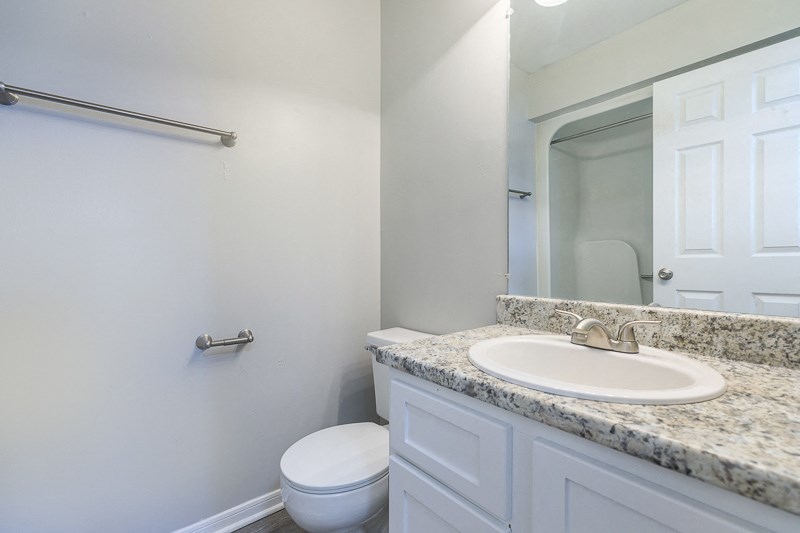a bathroom with a sink and a toilet and a mirror