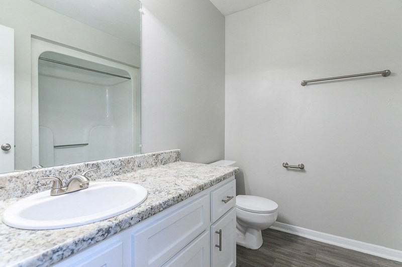 a bathroom with a sink and a toilet and a mirror